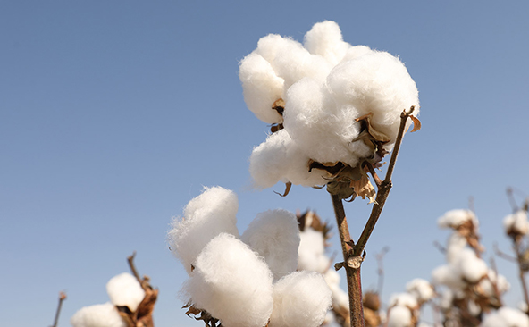 about-detail-31.html